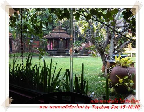 cnx40.jpg
