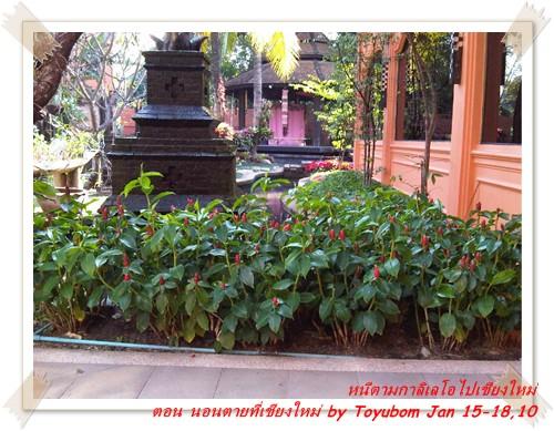 cnx47.jpg