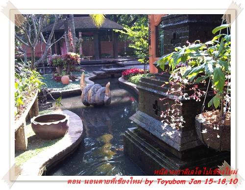 cnx48.jpg