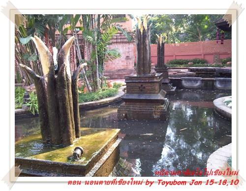 cnx50.jpg