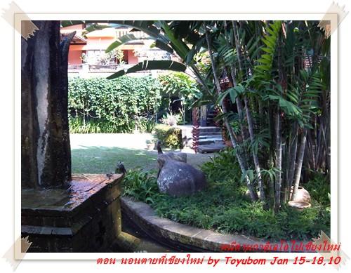 cnx52.jpg