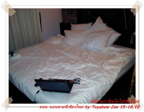 cnx-146.jpg