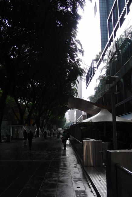 CIMG4098_resize.JPG