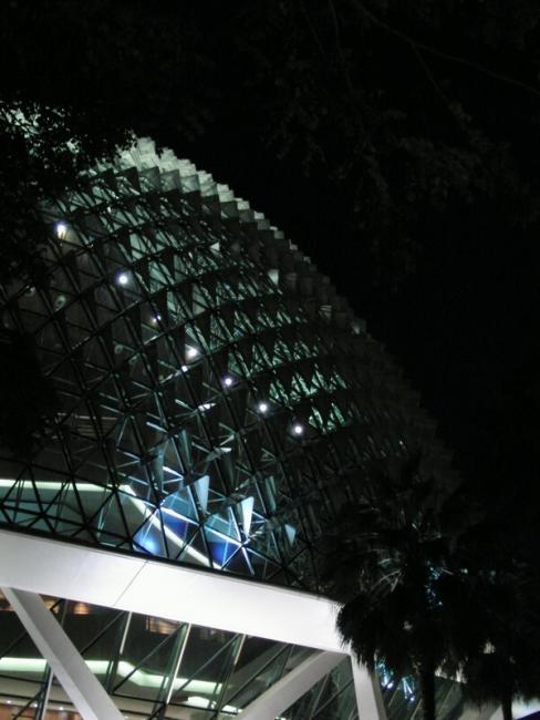 CIMG4585_resize.jpg