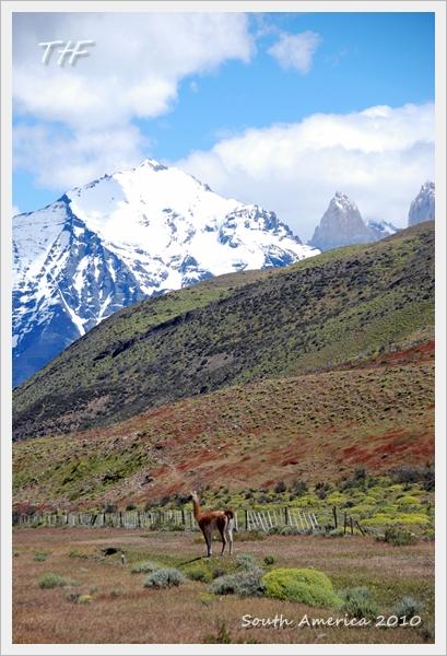 TorresDelPaine008.JPG