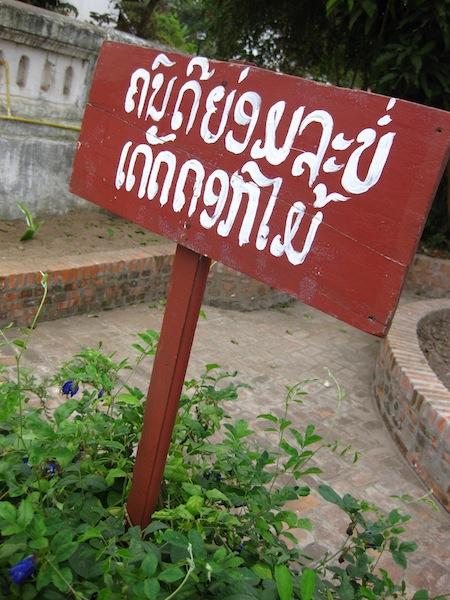 post-56-126262570179.jpg