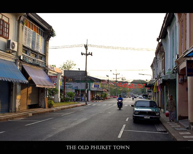 IMGP1204.jpg