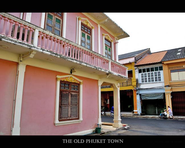 IMGP1259.jpg