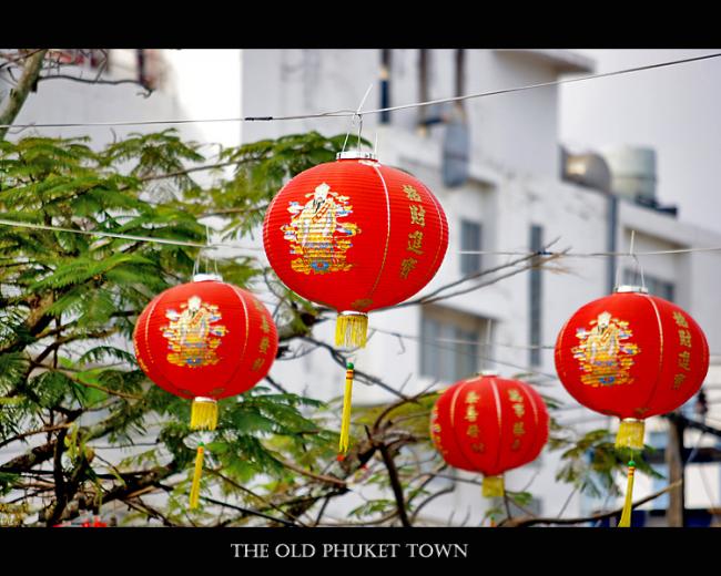 IMGP1312.jpg