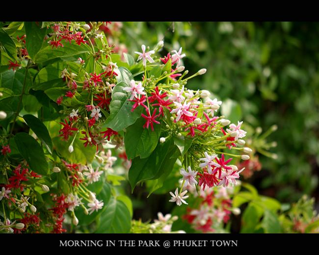 IMGP1346.jpg