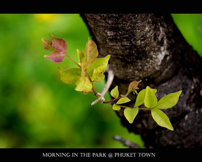 IMGP1367.jpg