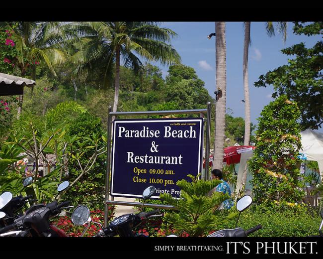 paradise03.jpg