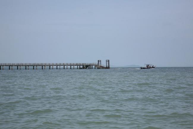 IMG_1603_resize.JPG