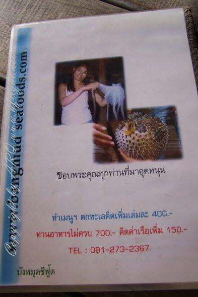 97.JPG