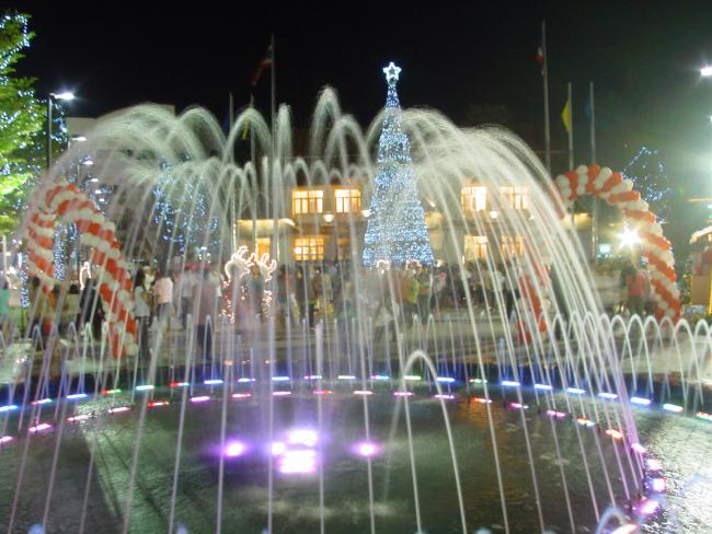 DSC03608.JPG