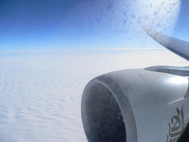 P1010448.JPG