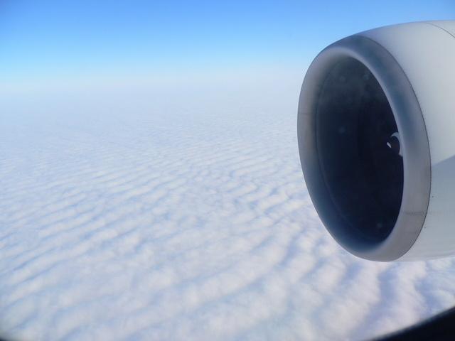 P1010449.JPG