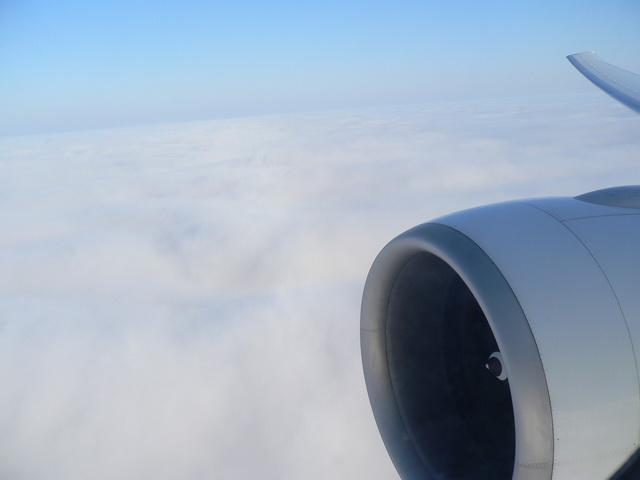 P1010453.JPG