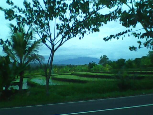 IMG0040A.jpg