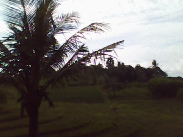 IMG0055A.jpg