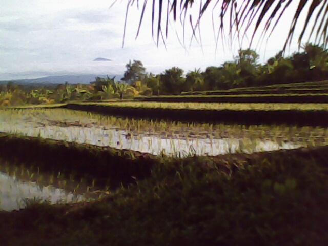IMG0065A.jpg