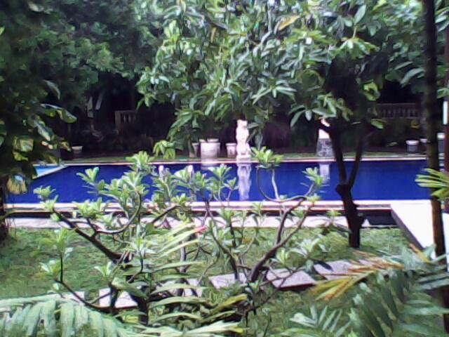 IMG0080A.jpg