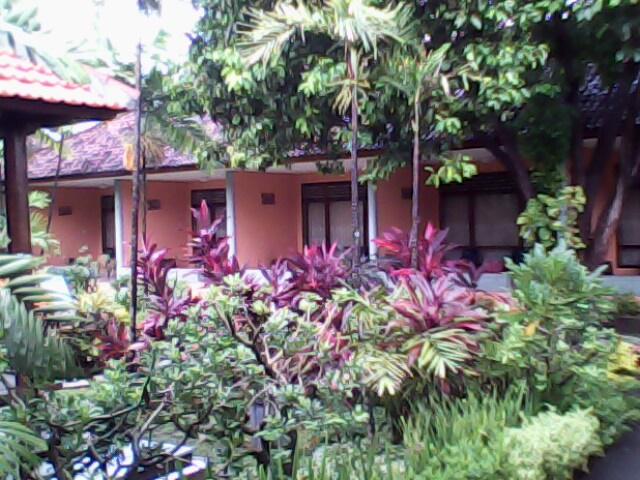 IMG0081A.jpg