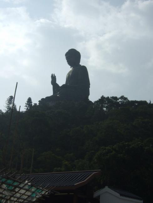 DSCF4988.jpg
