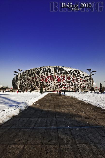Bird\'s-Nest-10.jpg