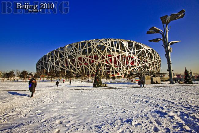 Bird\'s-Nest-11.jpg