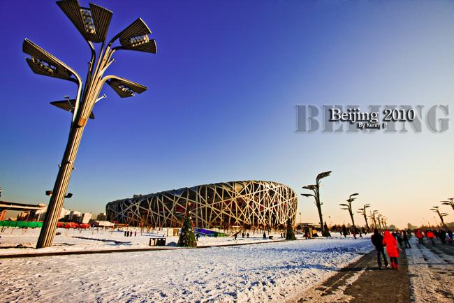Bird\'s-Nest-13.jpg