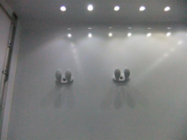 DSCF2466 (Small).JPG