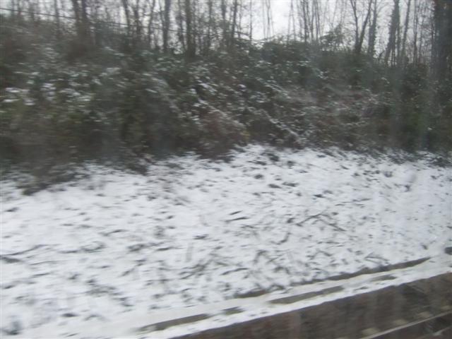 DSCF2541 (Small).JPG