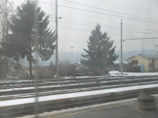 DSCF2551 (Small).JPG