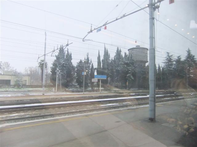 DSCF2556 (Small).JPG