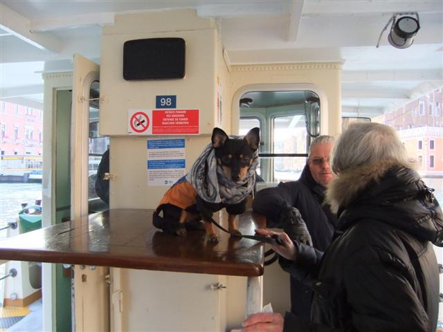 DSCF2681 (Small).JPG