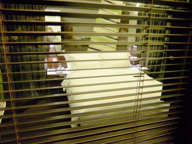 DSCF4844 (Small).JPG