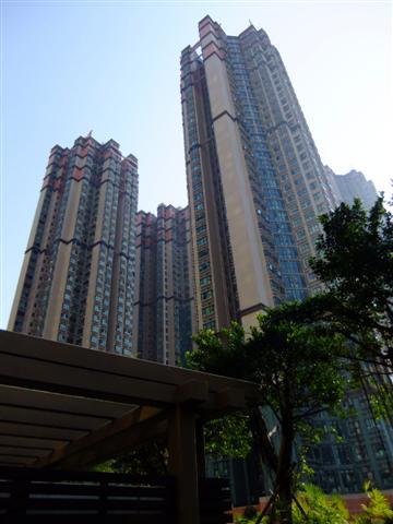 DSCF4886 (Small).JPG