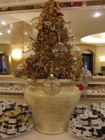 DSCF2905 (Small).JPG