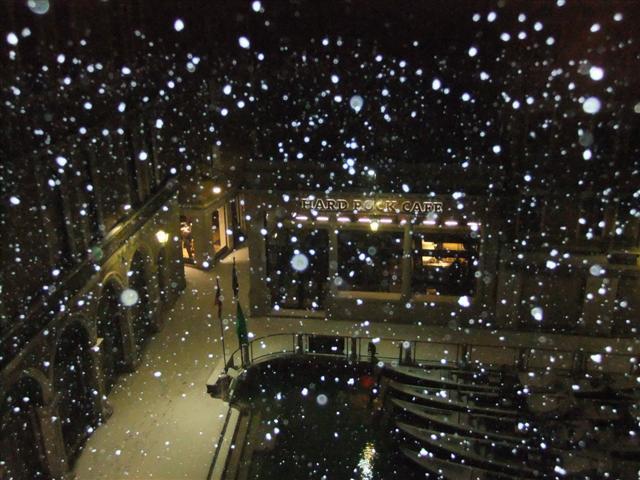 DSCF3335 (Small).JPG