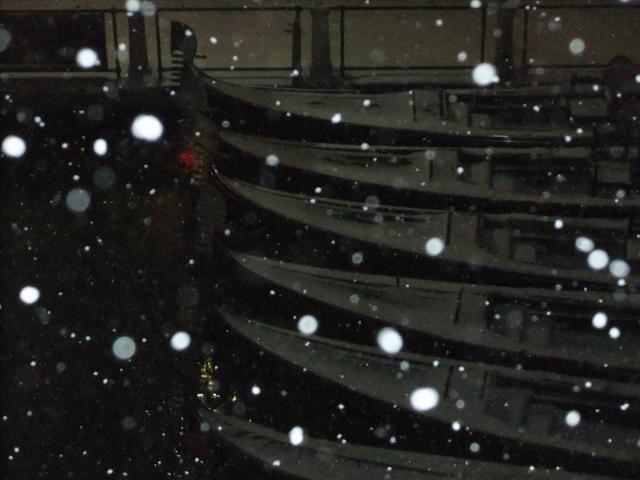 DSCF3336 (Small).JPG