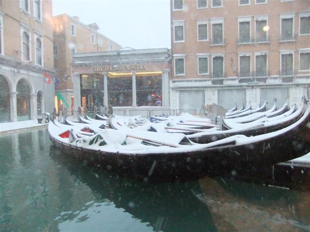 DSCF3354 (Small).JPG
