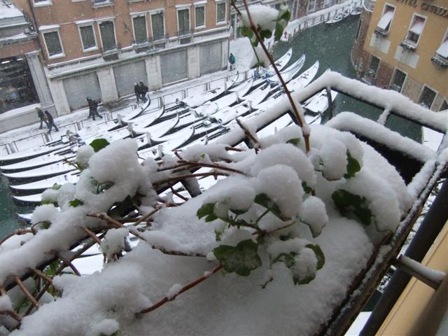 DSCF3409 (Small).JPG
