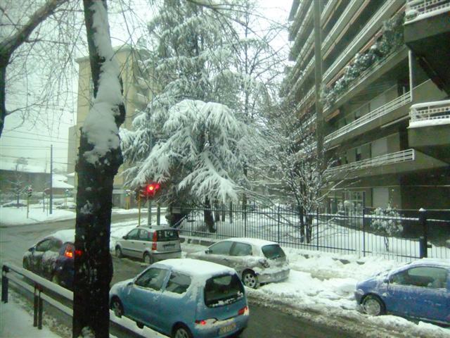 DSCF4405 (Small).JPG