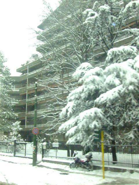 DSCF4406 (Small).JPG