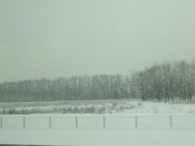 DSCF4429 (Small).JPG