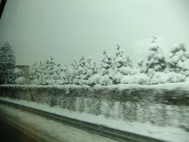 DSCF4441 (Small).JPG