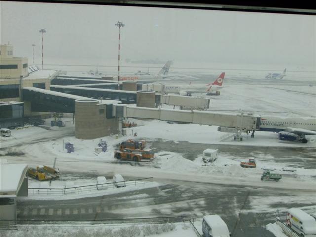 DSCF4476 (Small).JPG