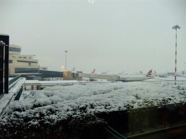 DSCF4508 (Small).JPG