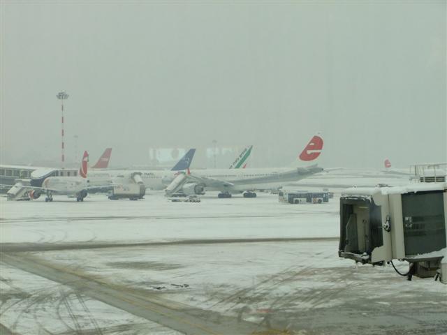 DSCF4512 (Small).JPG